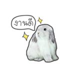 Frosty Bunnies（個別スタンプ：16）