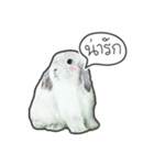 Frosty Bunnies（個別スタンプ：19）