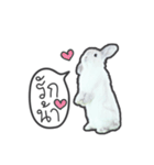 Frosty Bunnies（個別スタンプ：23）