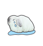 Frosty Bunnies（個別スタンプ：24）