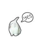 Frosty Bunnies（個別スタンプ：30）