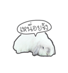 Frosty Bunnies（個別スタンプ：34）