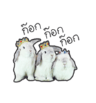 Frosty Bunnies（個別スタンプ：35）