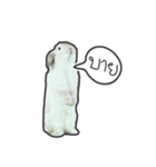Frosty Bunnies（個別スタンプ：40）