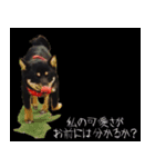我が家の愛犬桜花ちゃん（個別スタンプ：13）