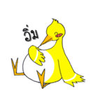 Yellow Duckling（個別スタンプ：31）