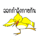 Yellow Duckling（個別スタンプ：35）