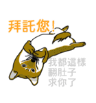 用語を助けてください（個別スタンプ：5）