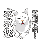 用語を助けてください（個別スタンプ：18）