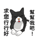 用語を助けてください（個別スタンプ：20）
