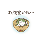 茶道 with 抹茶猫 2 -家族・友達用-（個別スタンプ：9）