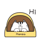 Hanzo the cat（個別スタンプ：13）