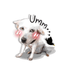 Dogs Leela(English ver.)（個別スタンプ：4）