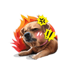 Dogs Leela(English ver.)（個別スタンプ：6）