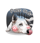 Dogs Leela(English ver.)（個別スタンプ：7）