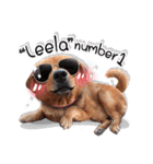 Dogs Leela(English ver.)（個別スタンプ：10）