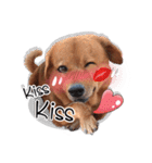 Dogs Leela(English ver.)（個別スタンプ：14）