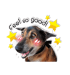 Dogs Leela(English ver.)（個別スタンプ：17）