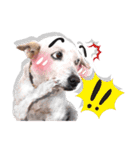 Dogs Leela(English ver.)（個別スタンプ：18）