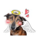 Dogs Leela(English ver.)（個別スタンプ：19）