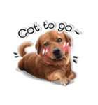 Dogs Leela(English ver.)（個別スタンプ：23）