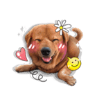 Dogs Leela(English ver.)（個別スタンプ：32）