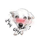Dogs Leela(English ver.)（個別スタンプ：33）