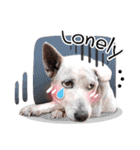 Dogs Leela(English ver.)（個別スタンプ：38）