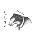 北海道のウルフおじさん（個別スタンプ：16）