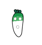 Colorful Daikon Radish ＆ Carrot（個別スタンプ：16）