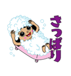 ブラッキーさん（個別スタンプ：11）