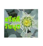 happy everyday for everyone.（個別スタンプ：4）