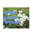 happy everyday for everyone.（個別スタンプ：6）