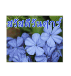 happy everyday for everyone.（個別スタンプ：7）