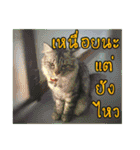 happy everyday for everyone.（個別スタンプ：8）