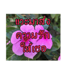 happy everyday for everyone.（個別スタンプ：12）