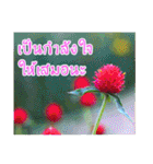 happy everyday for everyone.（個別スタンプ：16）