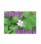 happy everyday for everyone.（個別スタンプ：24）