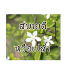 happy everyday for everyone.（個別スタンプ：33）