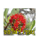 happy everyday for everyone.（個別スタンプ：34）