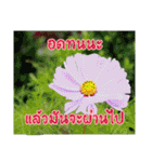 happy everyday for everyone.（個別スタンプ：36）