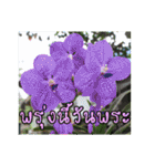 happy everyday for everyone.（個別スタンプ：39）
