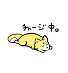 ちいむ、らいむ（個別スタンプ：6）