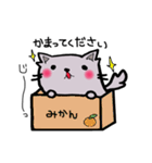 もふもふにゃんこ まる（個別スタンプ：21）