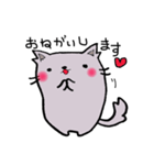 もふもふにゃんこ まる（個別スタンプ：33）