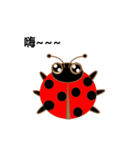Lovely ladybug（個別スタンプ：1）