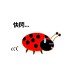 Lovely ladybug（個別スタンプ：2）