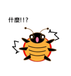 Lovely ladybug（個別スタンプ：6）