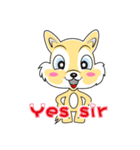 yoyo dog（個別スタンプ：11）