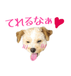 かわいいハウル（個別スタンプ：11）